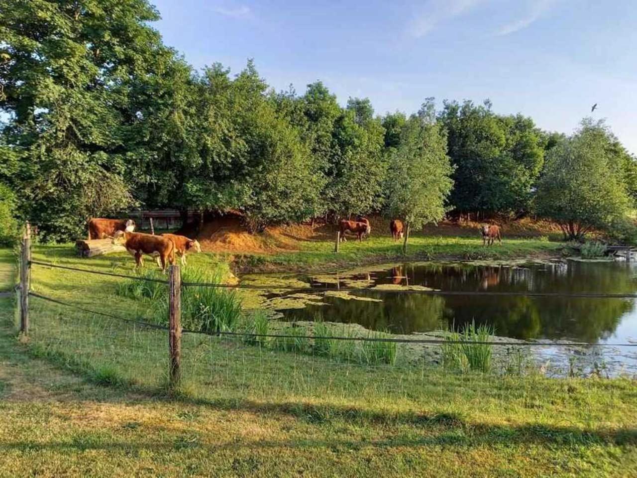 Boertel Lamperse Hei Hotel Wanroij Bagian luar foto
